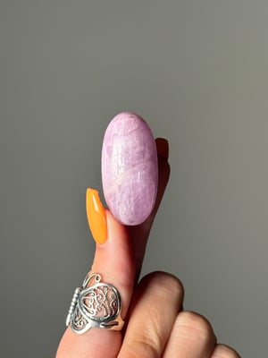 KUNZITE SHIVAS