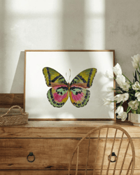 Image 6 of Euphaedra Watercolor Illustration PRINT