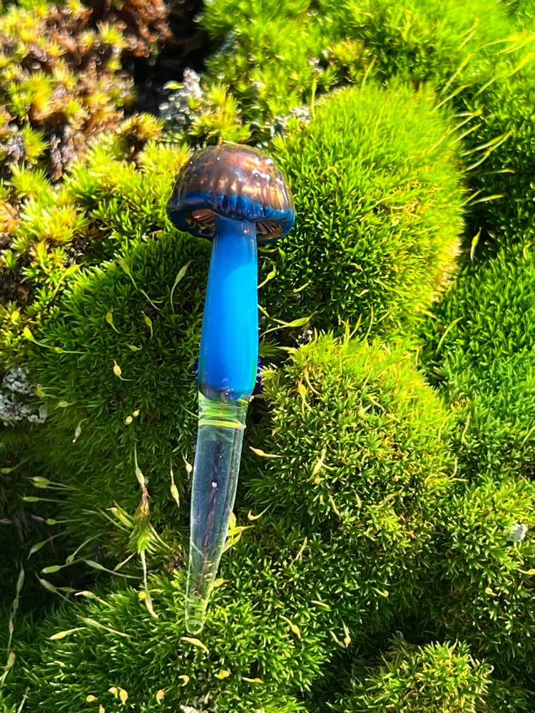 Image of Small Blue Staining Mushroom Plant Spike 2