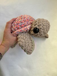 Image 3 of turtles 