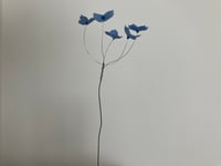 Image 5 of Hydrangea 