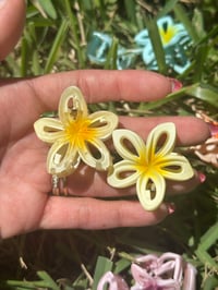 Image 3 of Mini aloha hair Clips (Pair)