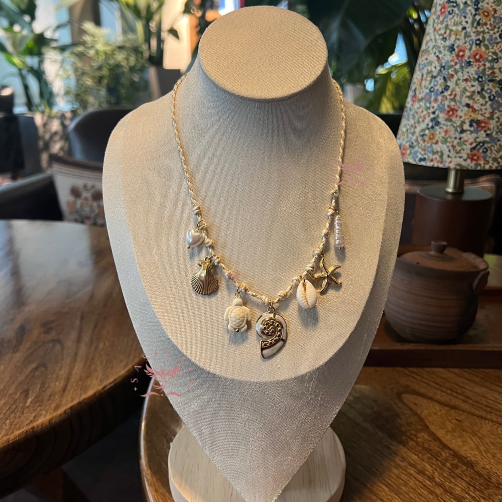 Image of Dreamy Conch 