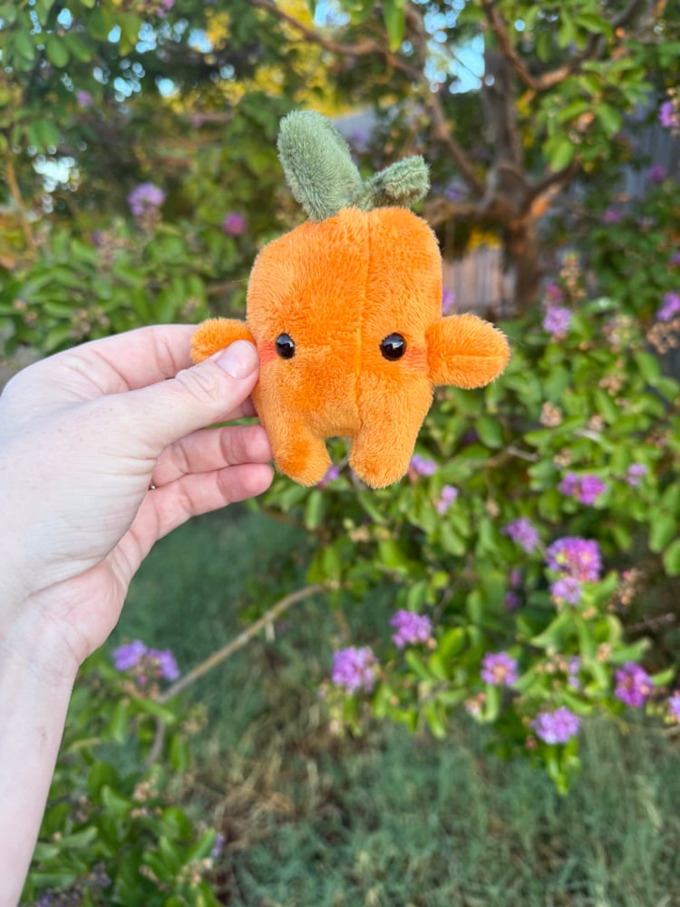 Image of Bright orange pumpkin