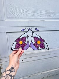 Image 2 of Violet Wildflower Moth 