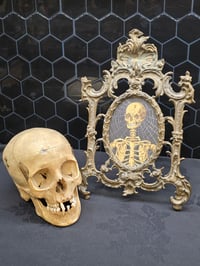 Image 1 of STATEMENT LARGE - ANTIQUE ANATOMICAL COLLECTION - Preserved web