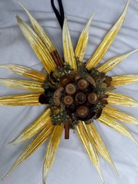 Image 2 of Okra  Sunflower,  the Woods