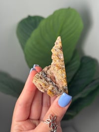 Image 2 of SELF STANDING YELLOW AND RED LAGUNA AGATE