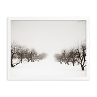 Image 2 of "The Apple Orchard in Winter" Framed poster