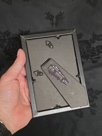 Image 4 of 1800’s biblical BATS with preserved spider web - black framed -4