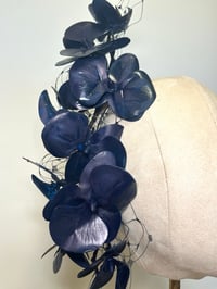 Image 2 of Navy orchids. 
