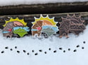 Asheville 2025 show pins