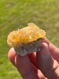 Image 6 of Golden Selenite Specimen #2218