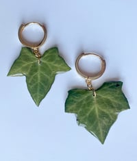 Image 2 of Ivy Dangles 