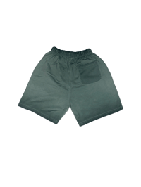 Image 2 of LGM Sunfaded Shorts - Green