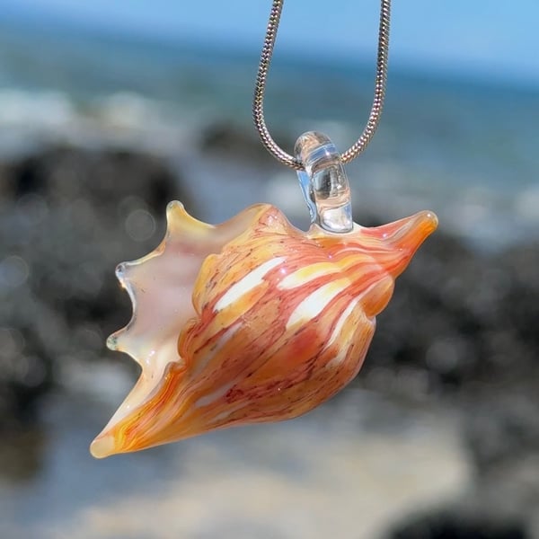 Image of Red and White Speckled Shell