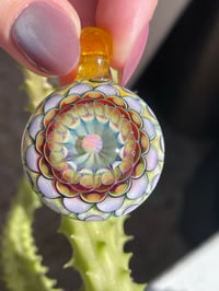 Image 2 of Sunburst Dahlia