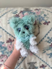 Image 1 of Sabrina Schnoodle 