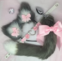 Gray/White PetPlay 