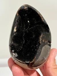 Image 9 of Septarian Nodule Polished Freeform | Madagascar #2900