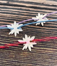 Image 2 of STELLA ALPINA