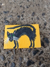 Image 4 of Scaredy Cat