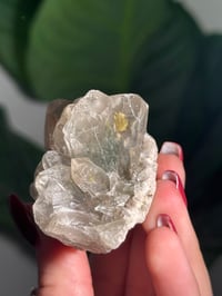 Image 2 of NATURAL GARDEN SMOKEY QUARTZ POINT -BRAZIL- O