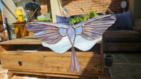 Image 1 of Purple moth