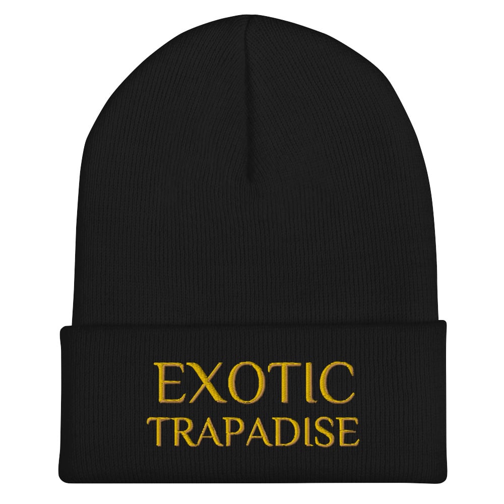 Image of Exotic Trapadise Black and gold Cuffed Beanie