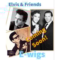 Elvis & Friends (Roy Orbison, Johnny Cash, Jerry Lee and many more !