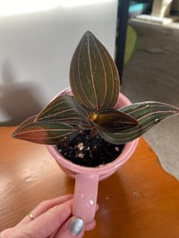Image 3 of Jewel Orchid in Pink Heart Mug