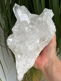 Image 17 of Clear Quartz Crystal Points Cluster #346