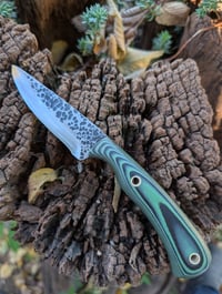 Image 2 of COMPANION