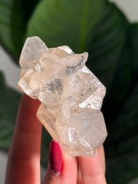 Image 5 of BOWTIE STILBITE X DIAMOND APOPHYLITE -INDIA- J
