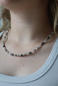 Image 1 of Dalmatian 