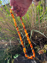Image 4 of Baltic Amber Necklace 