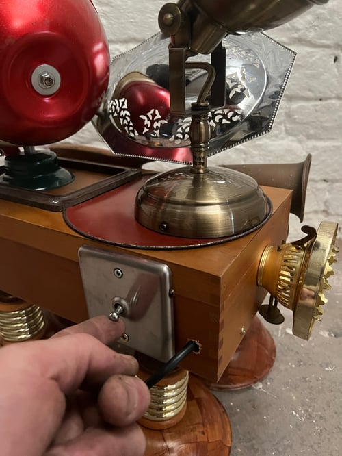 Image of Curly Bumtrumpet