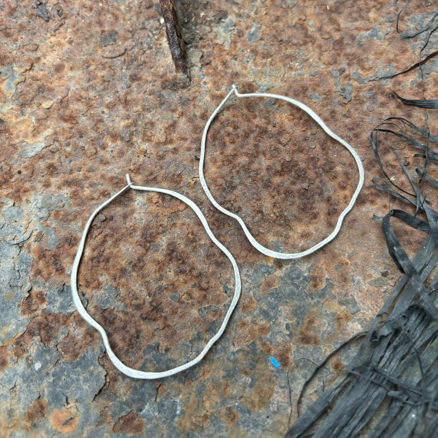 Image of Pendientes Ara plata