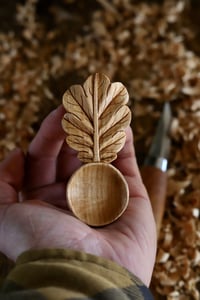 Image 1 of • Oak leaf Scoop • 