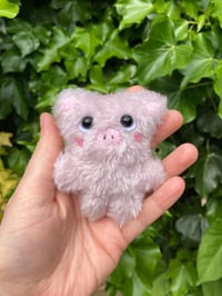 Image 1 of Pip the Mini Fluffy Pig