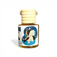 Image 11 of Zodiac Car Diffusers