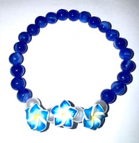 Blue Swirl Hibiscus 