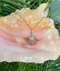 Image 1 of Scallop Shell Necklace N203