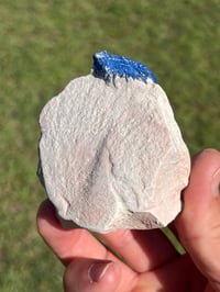 Image 6 of Azurite Suns On Matrix Specimen | NT Australia #2954