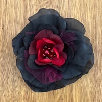 Image 1 of ruby red center black petal pop