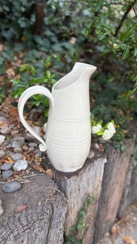 Image 8 of Pitcher 01