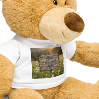 Teddy bear with a t-shirt (Jesus loves you, Sophia)