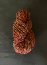 Image 1 of Rose Hips