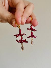 Image 1 of ♥️Burgundy Hyacinths♥️ Silver and Gold options available 