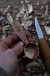 Image 3 of Apple wood scoop